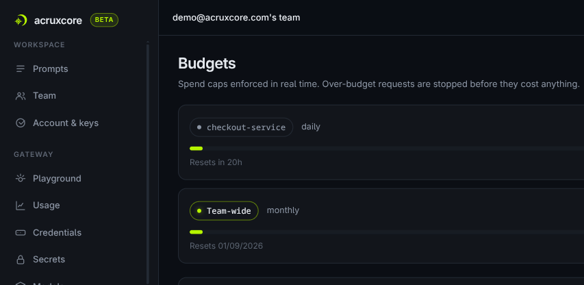 Budgets page showing a checkout-service daily budget at $0 of $5 and a team-wide monthly budget