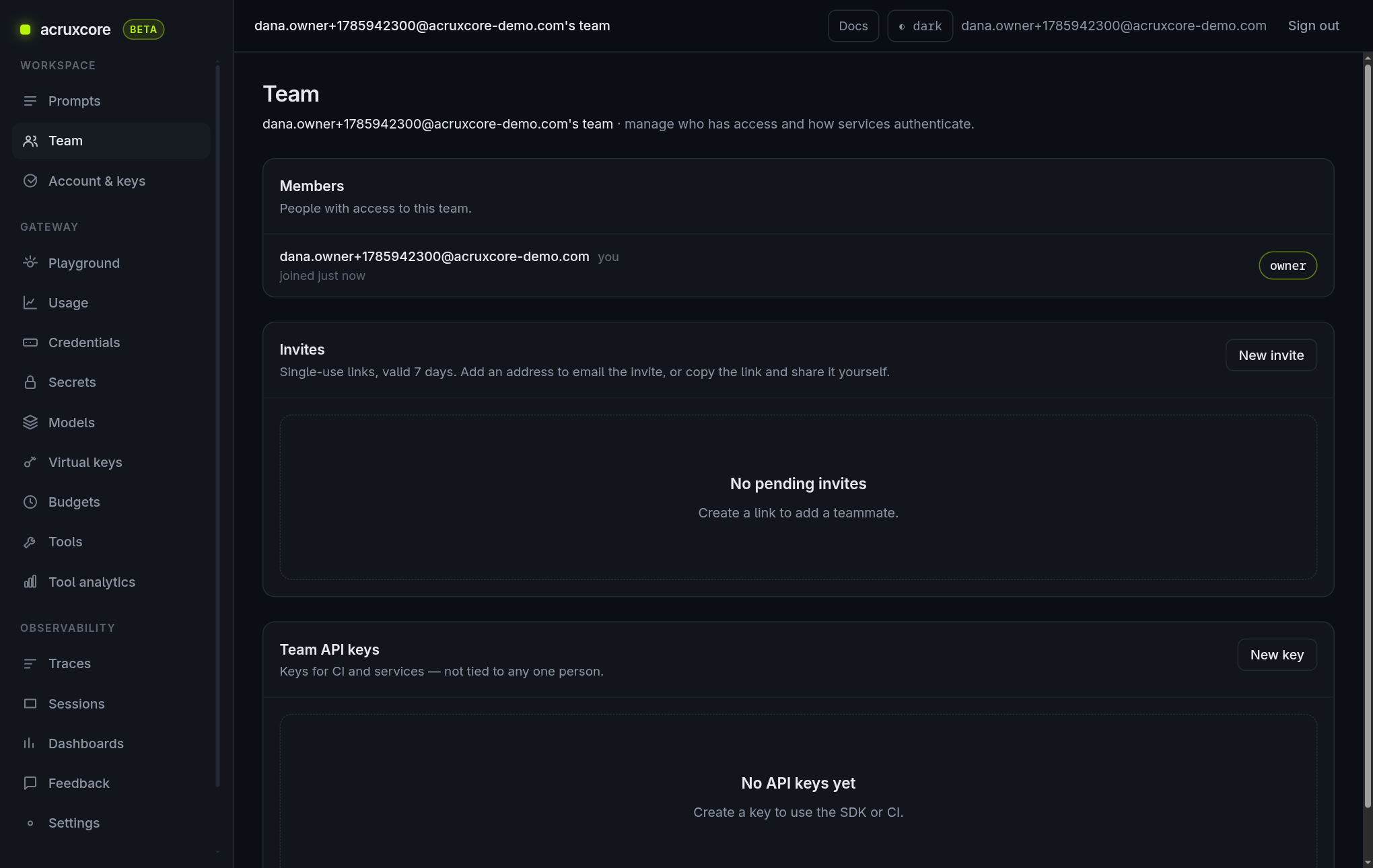 Team page showing the Members and Invites panels