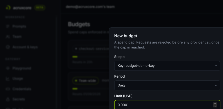 New budget form with scope set to a specific key, period Daily, and a limit entered
