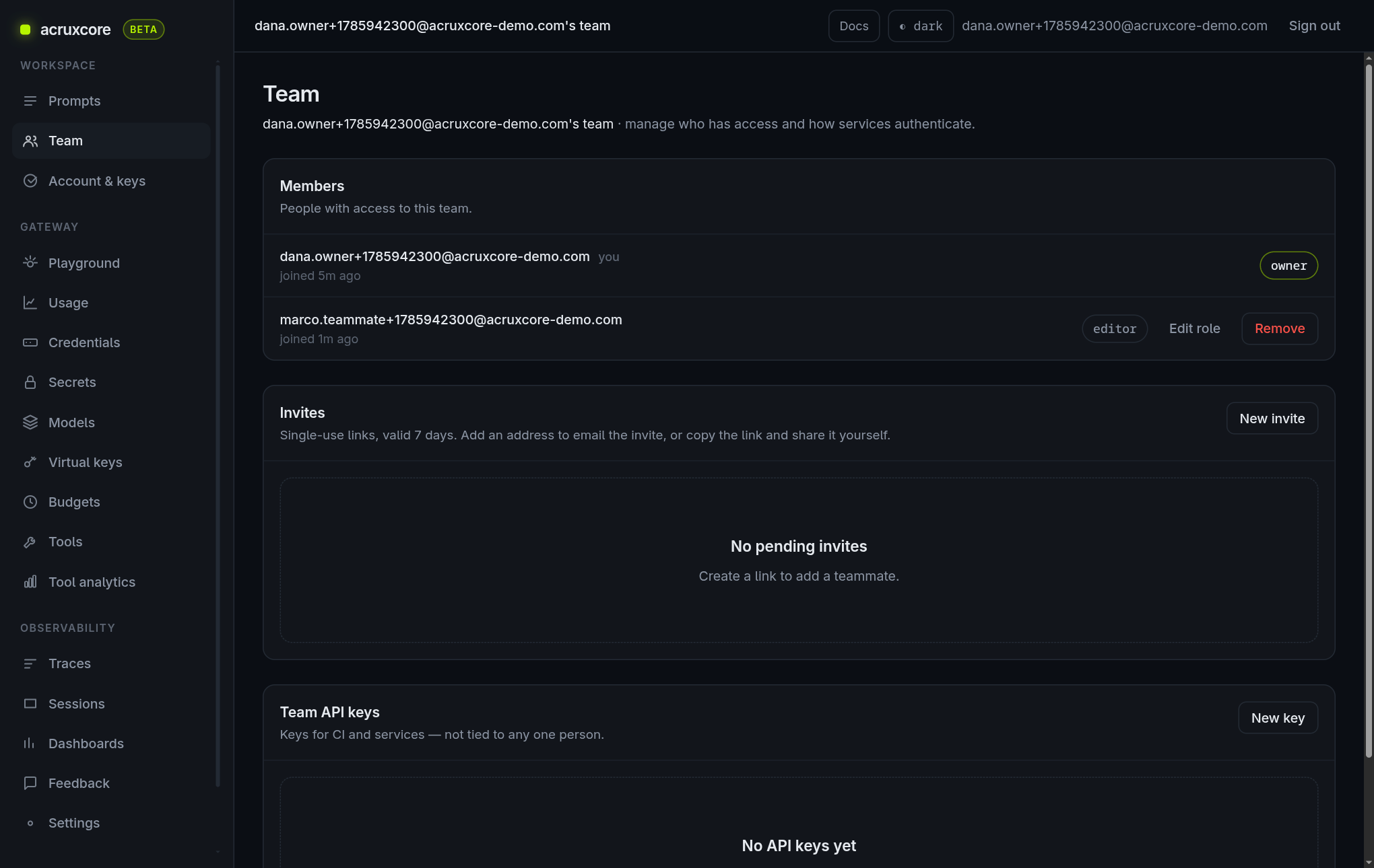 Team page now showing two members and the consumed invite no longer listed