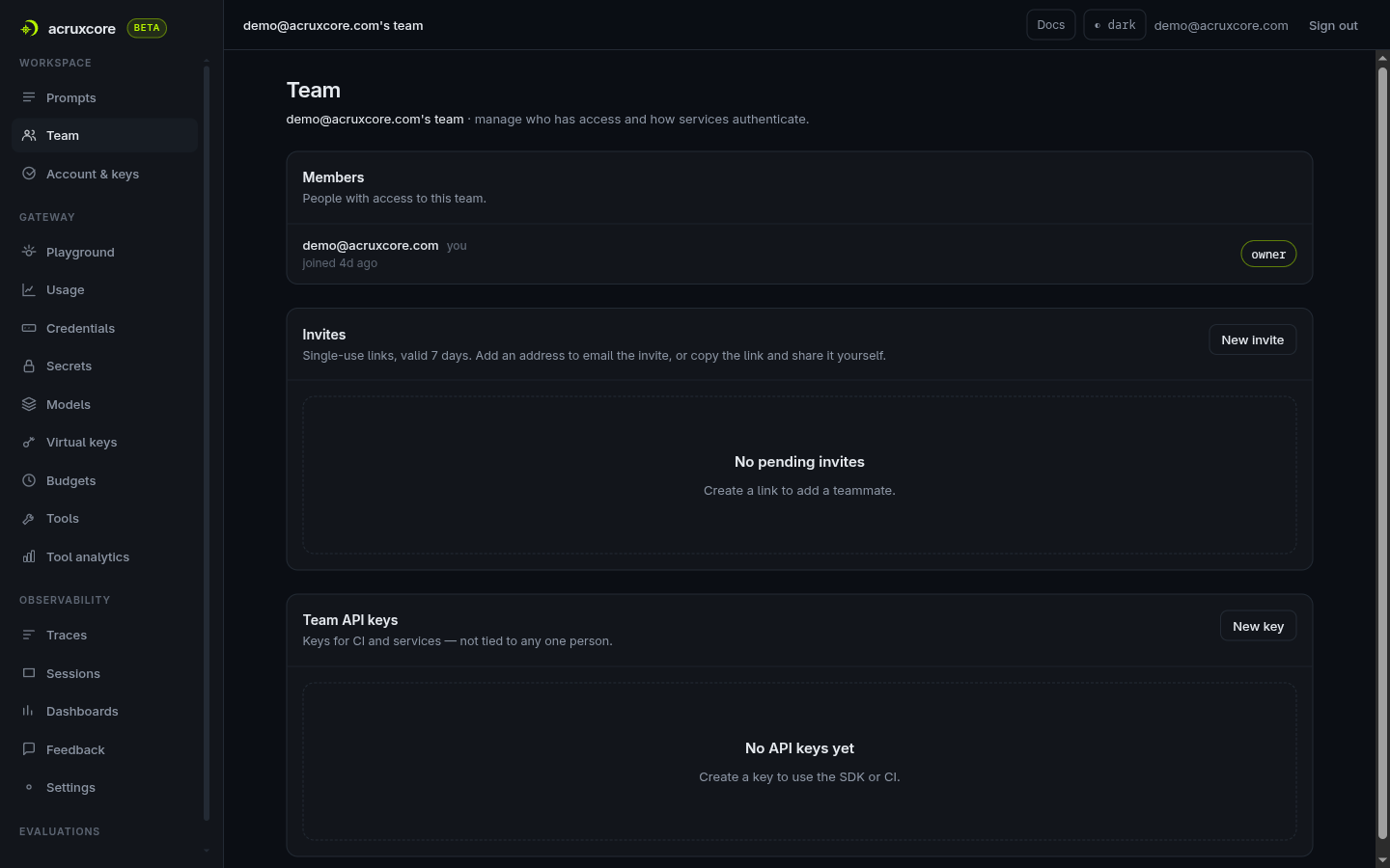 AcruxCore's single Team page — members, invites, and team API keys together, no org layer above